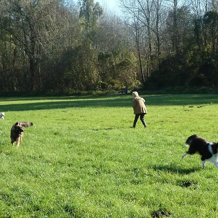 Chalet Canis